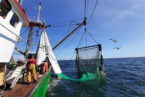 Jak vybrat správnou rybářskou síť pro různé rybářské aplikace